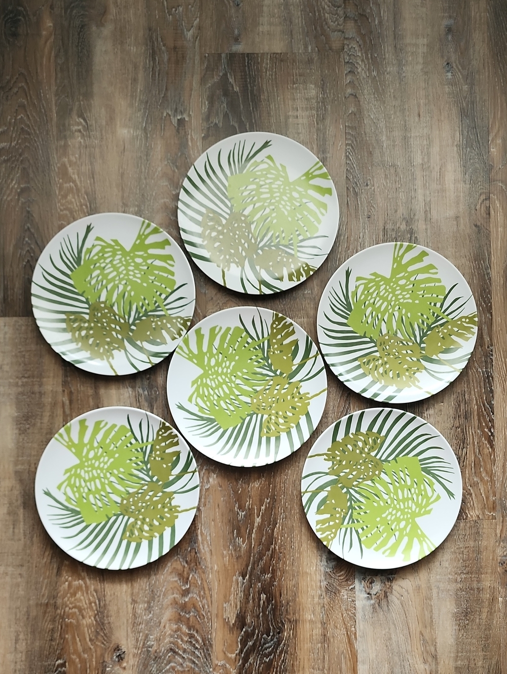 TEXAS WARE SET OF 6 MELAMINE PLATES